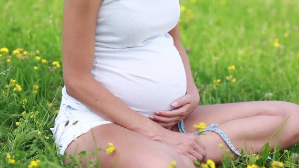 Jonge zwangere vrouw in de weide — Stockvideo