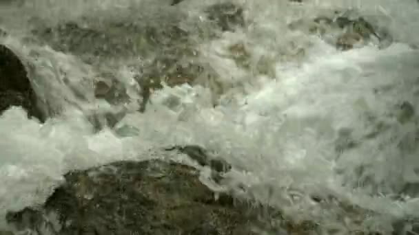 Маленький водоспад у ставку — стокове відео