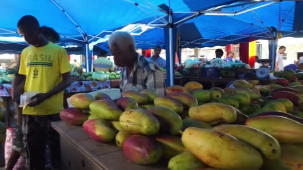 Compra e venda de frutos de manga frescos — Vídeo de Stock