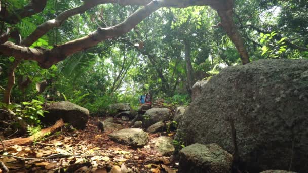 在热带岛屿森林徒步旅行 — 图库视频影像
