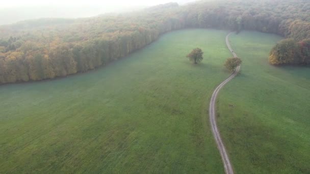 Aerial autumn forest and grassland — Stock Video