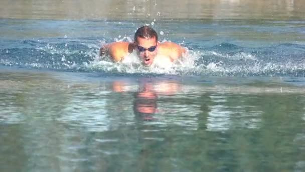 Butterfly swimmer slow motion — Stock Video