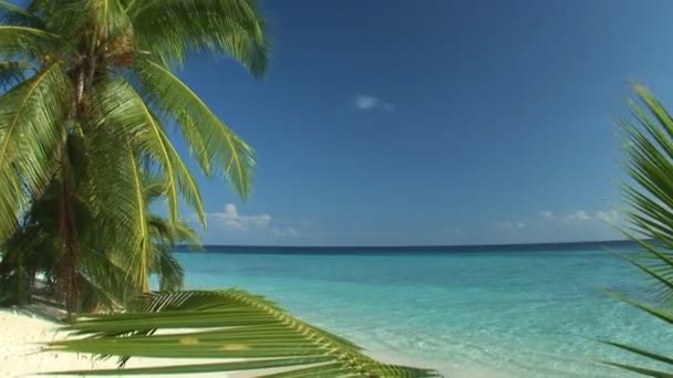 Increíble vista de la playa — Vídeos de Stock