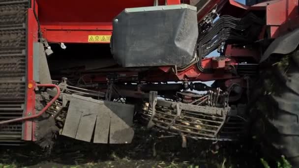 Cosechadora que trabaja en el campo de remolacha — Vídeos de Stock