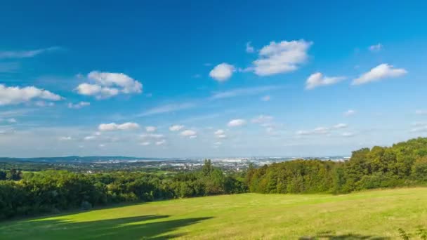 Schatten am blauen Himmel auf der Wiese — Stockvideo