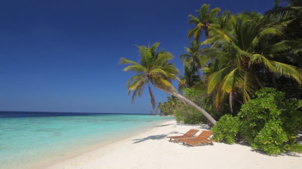 孤独对马尔代夫海滩 — 图库视频影像