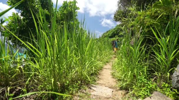 Caminhadas na floresta tropical — Vídeo de Stock