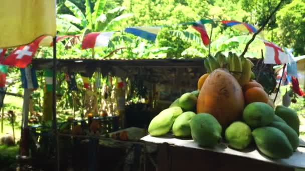 Tropical fruits for sale — Stock Video