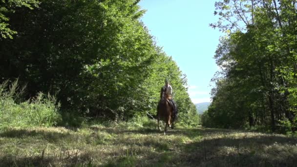 Žena na koni kůň — Stock video