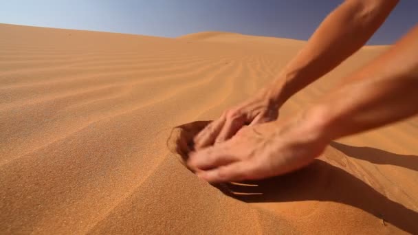 mains enterrant des dollars 