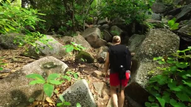 Caminhadas de mulheres na floresta tropical — Vídeo de Stock