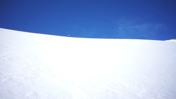 Hombre esquiando en nieve en polvo — Vídeos de Stock