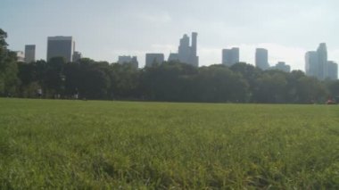 Central park görüntülemek  