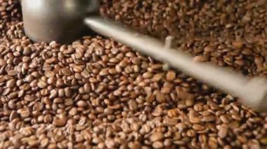 Taze kavrulmuş kahve çekirdeği.