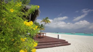 tropikal çiçek bush 