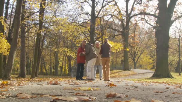 Senior couple and younger couple meeting — Stock Video