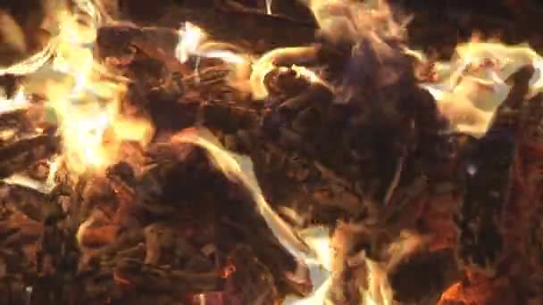 flammes flamboyantes de feu de joie 