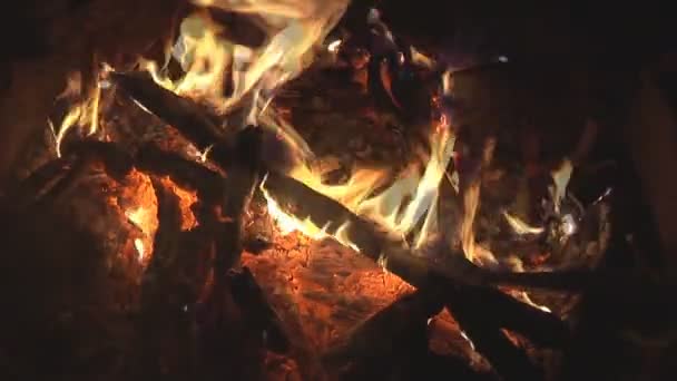 Lodernde Flammen am Lagerfeuer — Stockvideo