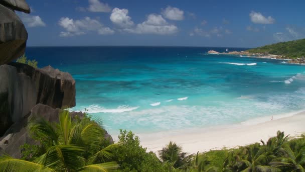 Plage de sable fin sur l'île — Video