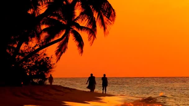 Pessoas na praia do por do sol — Vídeo de Stock