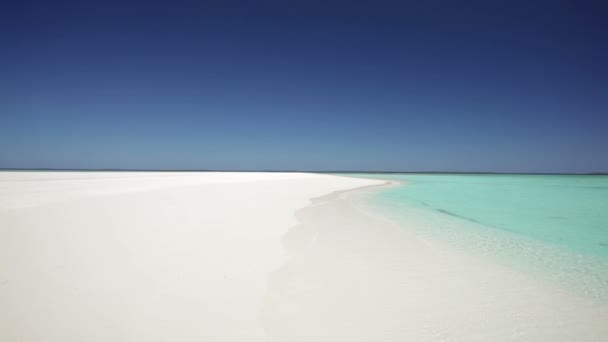 Paar loopt langs de strand — Stockvideo