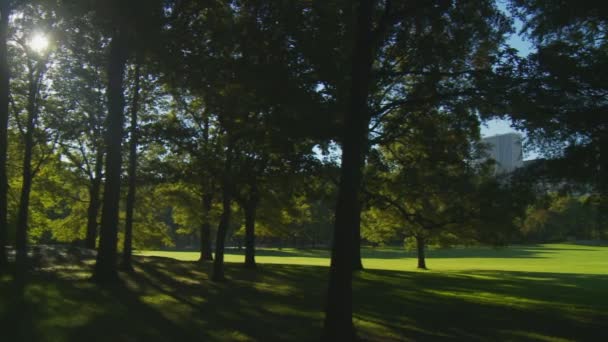 New York Şehri Central Park — Stok video