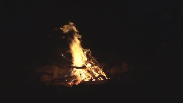 Палаюче полум'я багаття — стокове відео