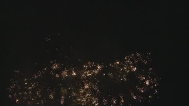 Feux d'artifice étonnants la nuit — Video