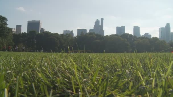 Vista sobre el parque central — Vídeo de stock