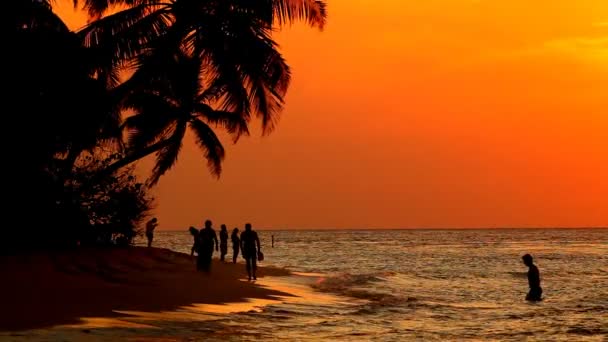 Personnes à la plage du coucher du soleil — Video