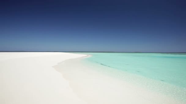 Couple en cours d'exécution sur la plage de sable — Video