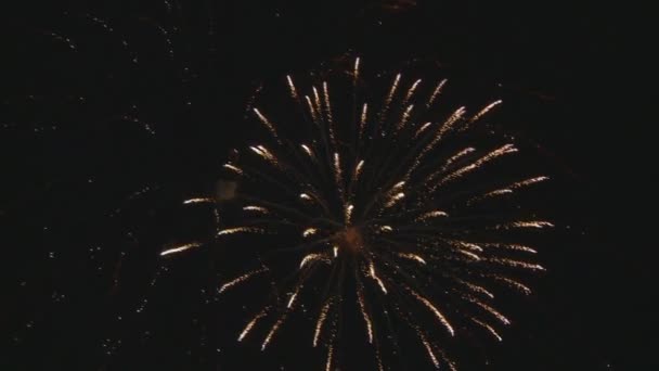 Fuegos artificiales increíbles por la noche — Vídeo de stock