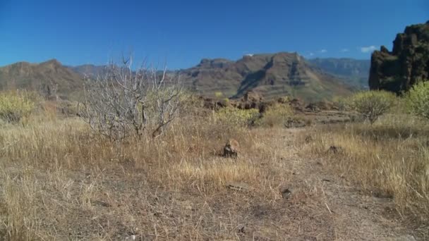 Coup de grue des montagnes et des canyons — Video