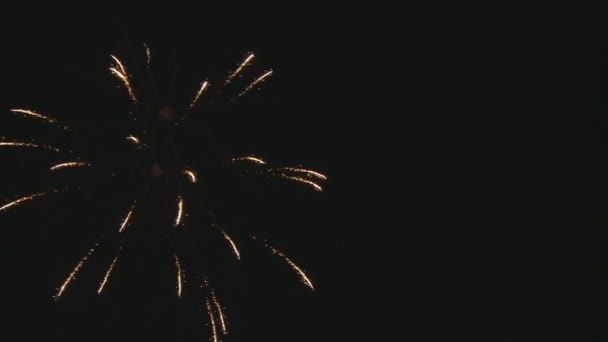 Coloridos fuegos artificiales en el cielo oscuro — Vídeo de stock