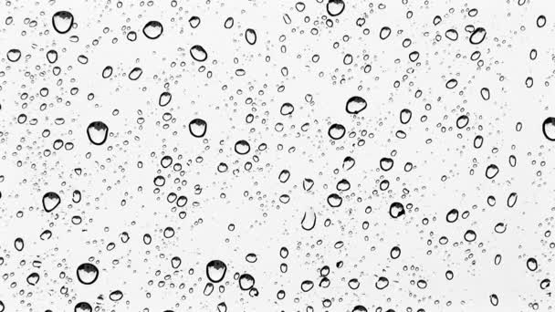 Gotas de lluvia en ventana cerrar — Vídeo de stock