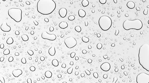 Regentropfen auf Autodach — Stockvideo