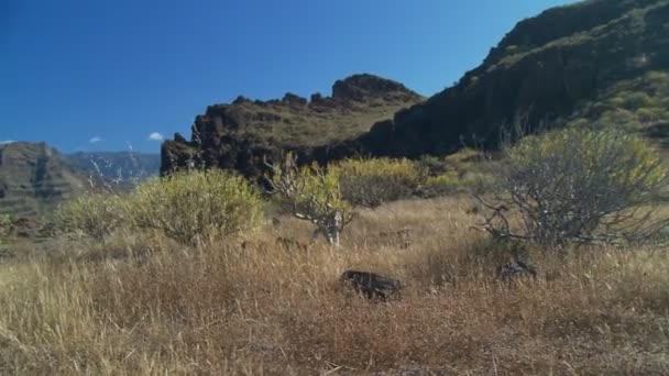 Coup de grue des montagnes et des canyons — Video