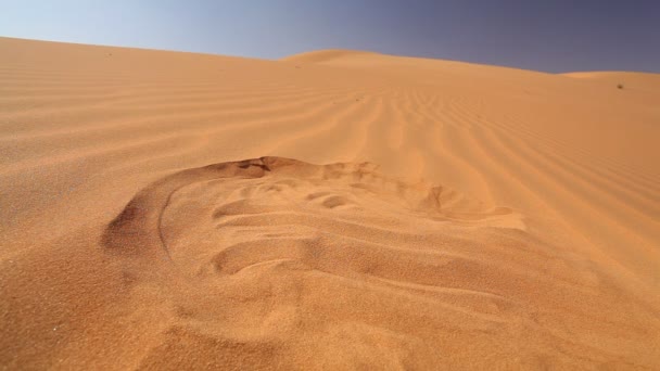les mains creusées dans le sable du désert 