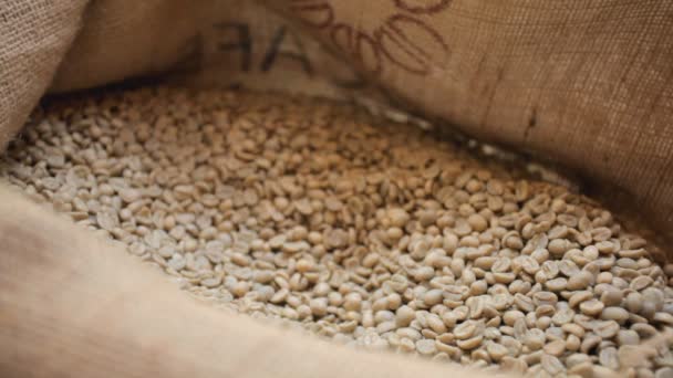 Grains de café frais — Video