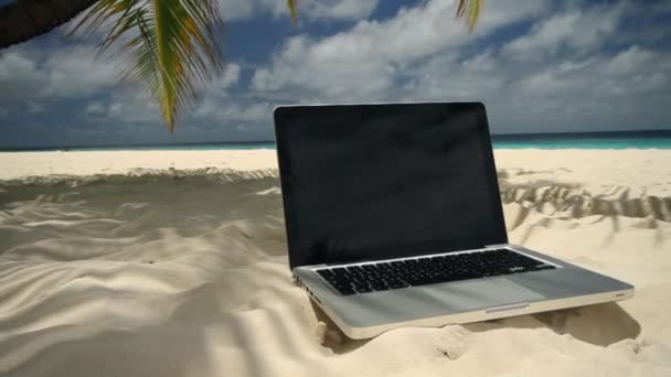 Ноутбук по тропическому песку — стоковое видео