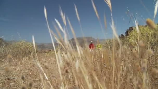 Wandelen paar wandelen in droog grasland — Stockvideo