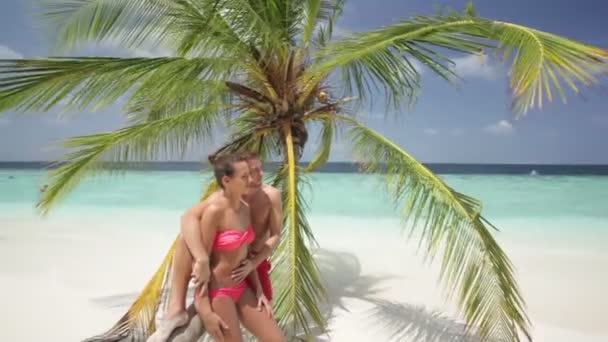 Young couple at palmtree — Stock Video