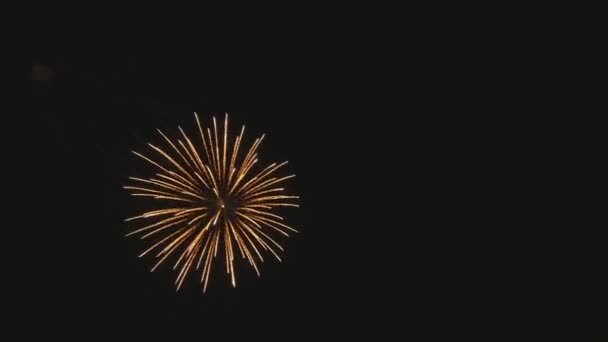在晚上的惊人烟花 — 图库视频影像