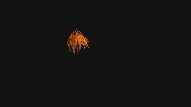 Fuochi d'artificio incredibili di notte — Video Stock