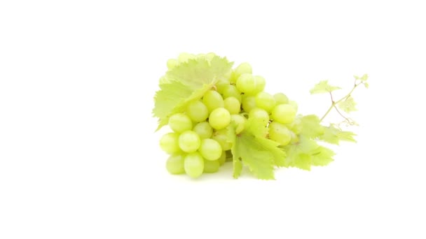 Fresh grapes on white — Stock Video