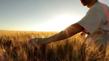 buğday kulakları dokunmadan spystyle çiftçi