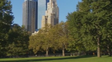 Manhattan'ın orta park