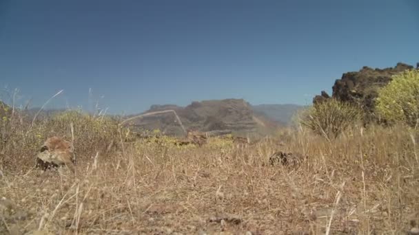 起重机的山脉和峡谷的镜头 — 图库视频影像