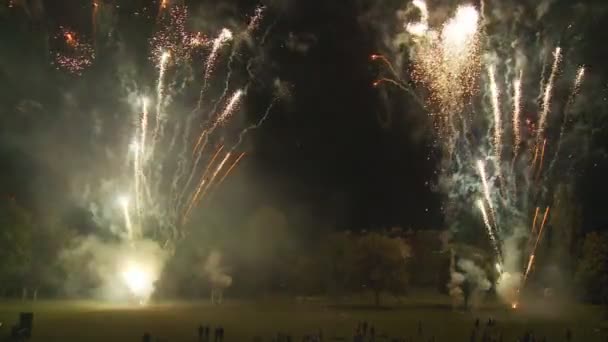 Erstaunliches Feuerwerk in der Nacht — Stockvideo