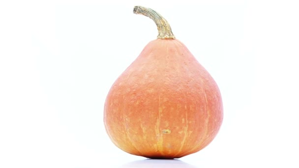 Calabaza girando sobre blanco — Vídeos de Stock